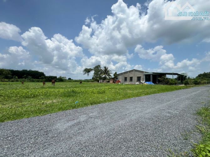 Bán đất Thị Trấn Dương Minh Châu, 5x30m2 thổ 100%, giá 290 triệu, sổ hồng.