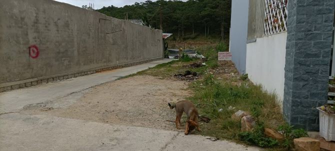 ĐẤT HAI MẶT TIỀN ĐƯỜNG AN SƠN ĐÀ LẠT