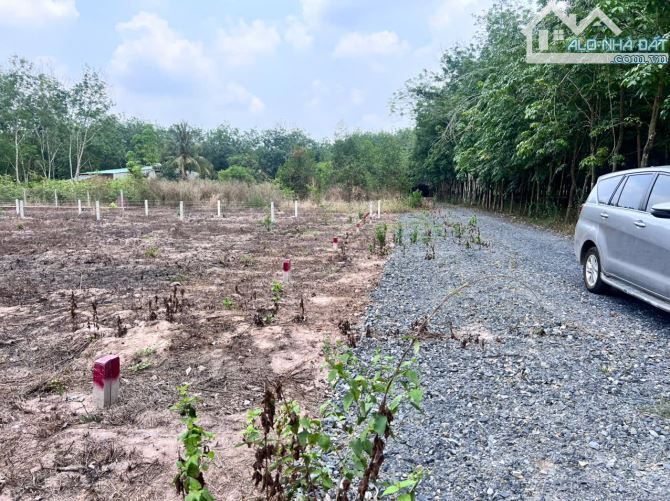 Chủ kẹt cần bán lô đất 5x30 hướng Cao Tốc TPHCM - Mộc Bài, giá 190 triệu, bao sang tên