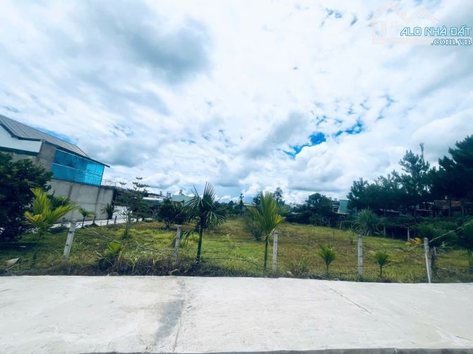 1.2 sào Phường 3 Bảo Lộc 330m thổ cư. - 1