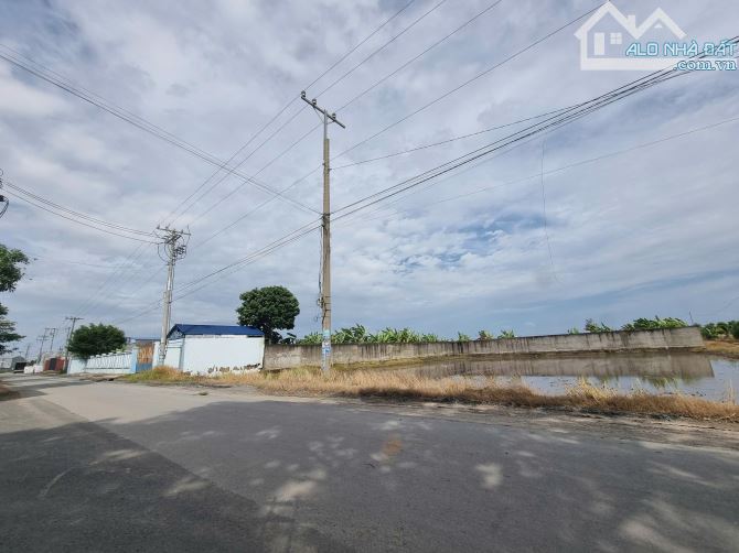 32x50 MT Nhựa, thổ 100% giá giảm lần 3 còn 16 tỷ. Nhánh Đức Hòa Thượng. - 3