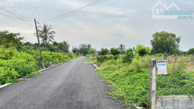 Bán đất đường Duyên Hải, Long Hòa, Cần Giờ: 20 x 50= 1.096m2, giá 18 triệu/m2. - 1