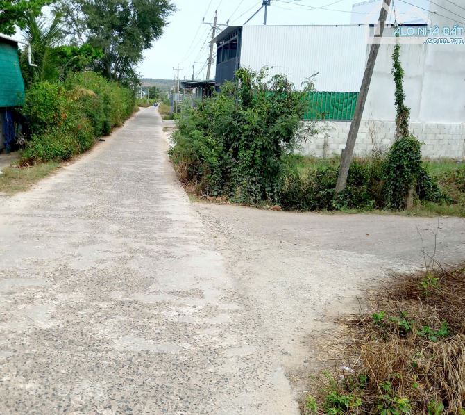 Đất thổ cư Giá Rẻ-Phường Hàm Thắng(TT Phú Long)-Lâm Đồng-3 thửa LK 125m2 - 1
