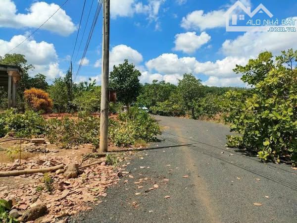 Bán đất tại Xã Tân Lâm, Xuyên Mộc, Bà Rịa Vũng Tàu, 4 triệu / m2, 3357 m2, view đẹp - 1