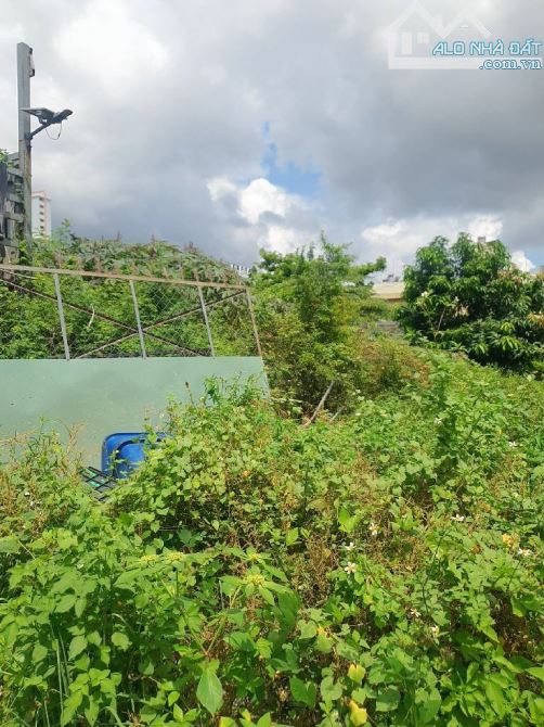 Bán 1752m2 đất mặt tiền ngang 49m, Xuân Thới Sơn, Xuân Thới Sơn, Hóc Môn,giá nhỉnh 17,4tỷ - 1