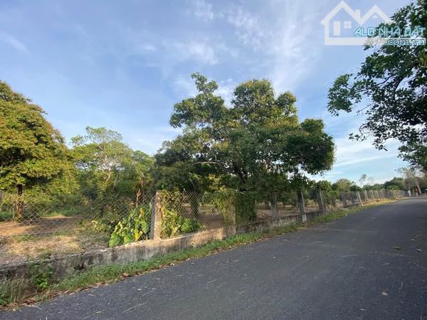 Bán đất 2121m2 tại Xã Tân Lâm, Xuyên Mộc, Bà Rịa Vũng Tàu, giá ưu đãi 4 triệu / m2 - 1