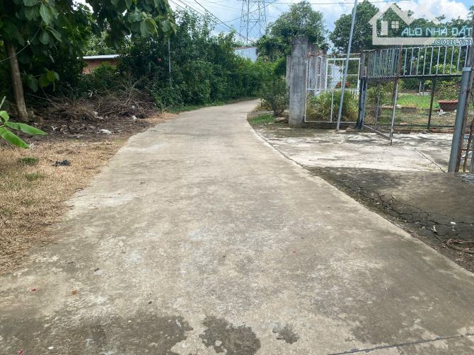 bán lô đất ở tại đô thị 117m2 cách chợ đêm khoảng 800m chỉ với giá 850 triệu - 1
