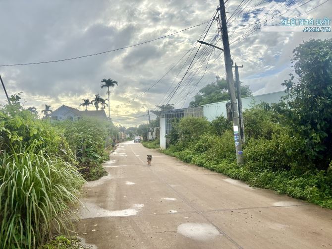 Đất hẻm chính 152 Lạc Long Quân - 1