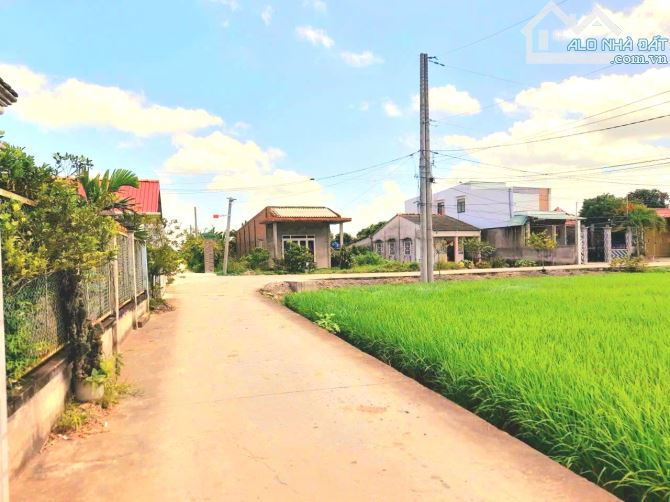 Quá ngộp, chỉ 490tr sở hữu 147.5m2 đất thổ đường ô tô - 1