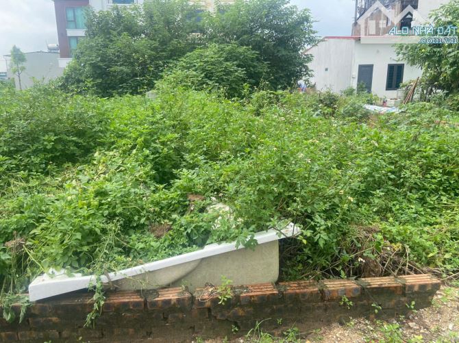 Bán đất TDC Thượng Thanh- Vỉa Hè- oto tránh đường 13m- 90m - mặt tiền 7.3m 15 ty ( TL) - 1