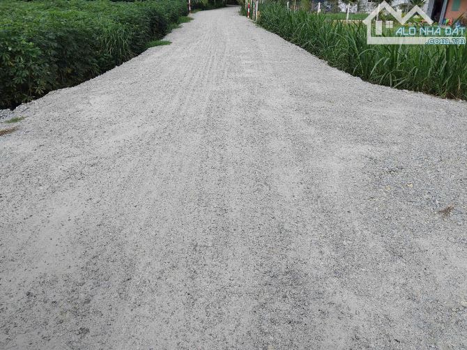 Bán đất Thị Trấn Dương Minh Châu, 5x30m2 thổ 100%, giá 290 triệu, sổ hồng. - 1