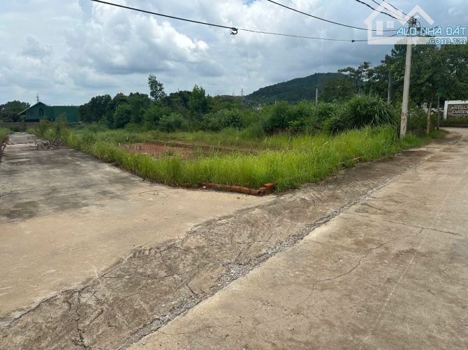 Hiếm có! Đất nghỉ dưỡng Minh Phú 60m² – Giá sốc 1,5 tỷ - 1