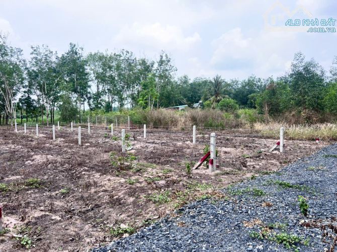 Chủ kẹt cần bán lô đất 5x30 hướng Cao Tốc TPHCM - Mộc Bài, giá 190 triệu, bao sang tên - 1