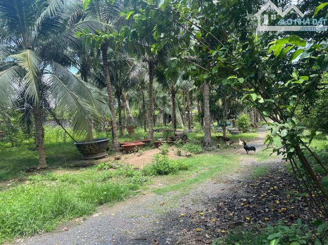 🌿BÁN ĐẤT 2 MẶT TIỀN CỰC ĐẸP – VIEW SÔNG ĐỒNG NAI – XÃ TRỊ AN, ĐÔNG NAI🌿 - 1