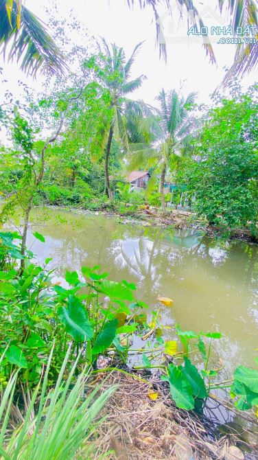 Bán đất 150 m2 gần đại học nam Cần Thơ có view sông 1,1 tỷ - 14