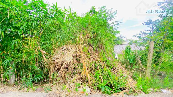 Bán đất 150 m2 gần đại học nam Cần Thơ có view sông 1,1 tỷ - 17