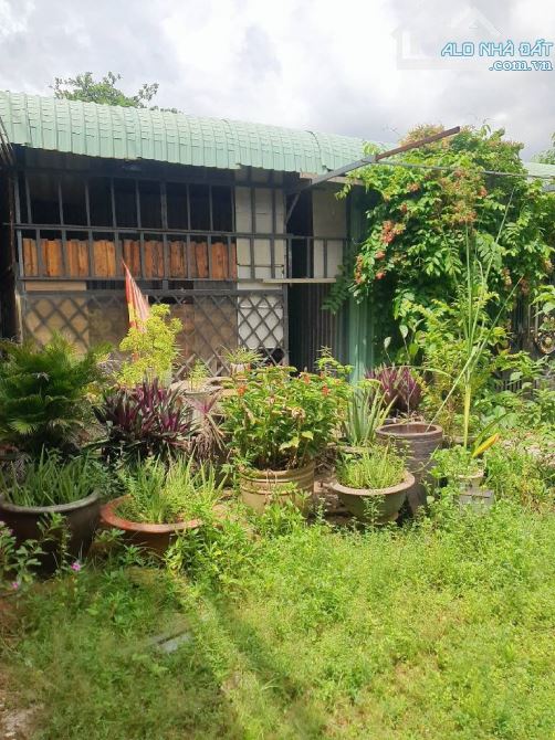 Bán 1752m2 đất mặt tiền ngang 49m, Xuân Thới Sơn, Xuân Thới Sơn, Hóc Môn,giá nhỉnh 17,4tỷ - 2