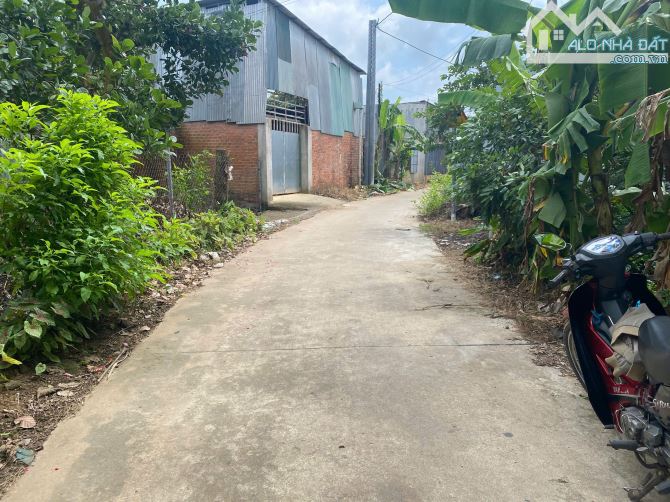 bán lô đất ở tại đô thị 117m2 cách chợ đêm khoảng 800m chỉ với giá 850 triệu - 2