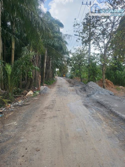 Bán đất MT đường nhị bình 5 hóc môn - 2