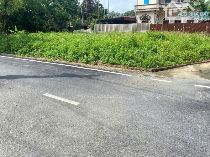 BÁN ĐẤT SƠN ĐOÀI, TÂN MINH, SÓC SƠN. DT 115,6M2, MT 4,64M. LÔ GÓC FULL THỔ CƯ. - 2