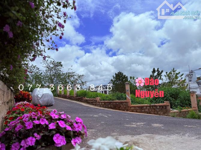 ĐẤT ĐẸP RẺ ĐÀ LẠT KHU SANG TRỌNG ĐỐNG ĐA TIỆN NGHỈ DƯỠNG - 2