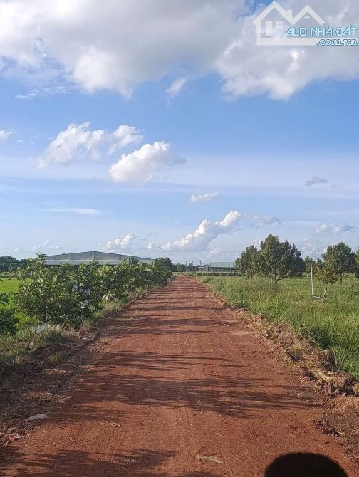 Em còn 7 nền liền kề đất ODT , thuộc TP Tây Ninh, dt 5x32 mõi nền, giá chỉ 290 triệu - 2