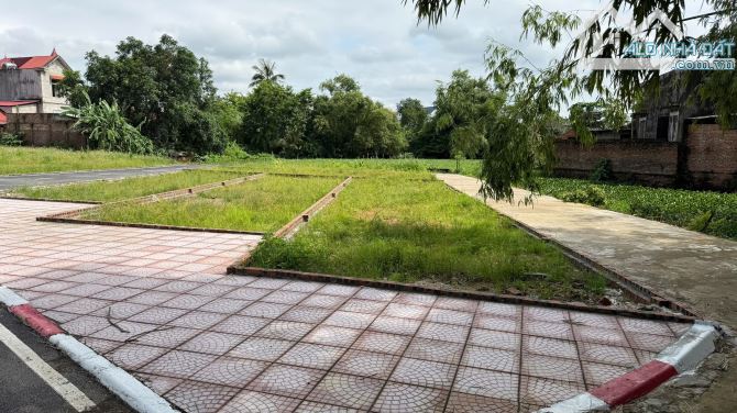 CHỦ GỬI BÁN NHANH LÔ GÓC 104M² – ĐƯỜNG NHỰA 4M CÓ VỈA HÈ RỘNG RÃI - CHỈ CHỚM 20TR - 2