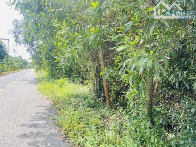 SIÊU ĐẤT VƯỜN 4.500M² – 3.000M² THỔ CƯ – MẶT TIỀN ĐƯỜNG BÀ THIÊN – NGANG KHỦNG 50M - 3