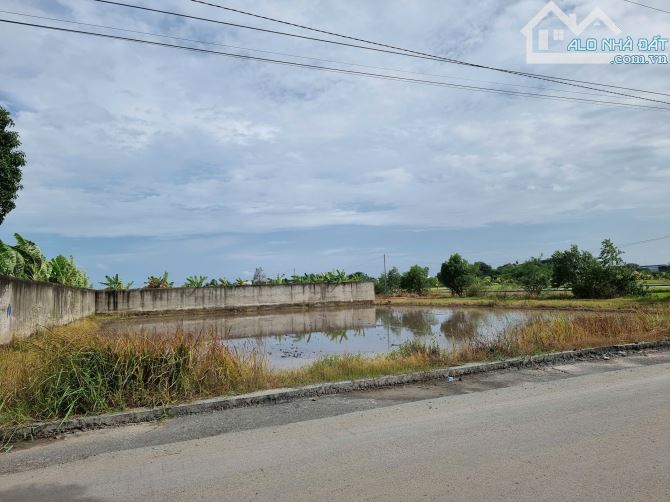 32x50 MT Nhựa, thổ 100% giá giảm lần 3 còn 16 tỷ. Nhánh Đức Hòa Thượng. - 5