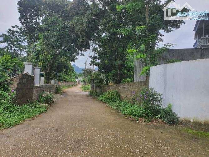 BÁN ĐẤT THANH CAO-LƯƠNG SƠN-HÒA BÌNH DT 555M2 FULL TC GIÁ CHỈ NHỈNH 3TR/M2 - 6