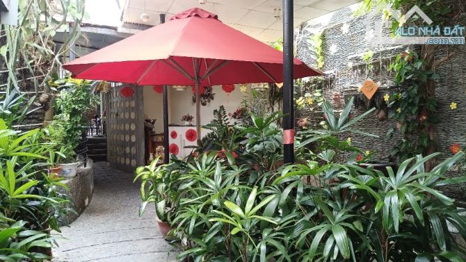🎯 BÁN LÔ ĐẤT KHỦNG TRUNG TÂM TP – TẶNG NGUYÊN QUÁN CAFE + NHÀ CẤP 4 - 3