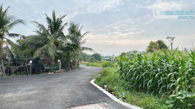 Bán đất đường Duyên Hải, Long Hòa, Cần Giờ: 20 x 50= 1.096m2, giá 18 triệu/m2. - 3