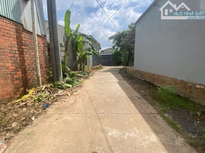 bán lô đất ở tại đô thị 117m2 cách chợ đêm khoảng 800m chỉ với giá 850 triệu - 3