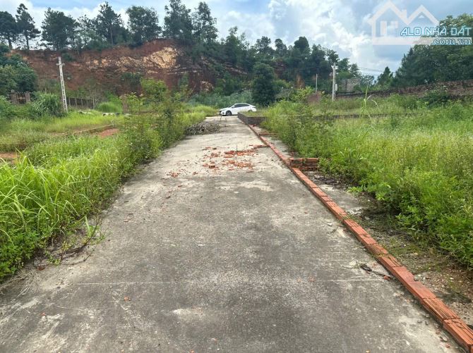 Hiếm có! Đất nghỉ dưỡng Minh Phú 60m² – Giá sốc 1,5 tỷ - 3