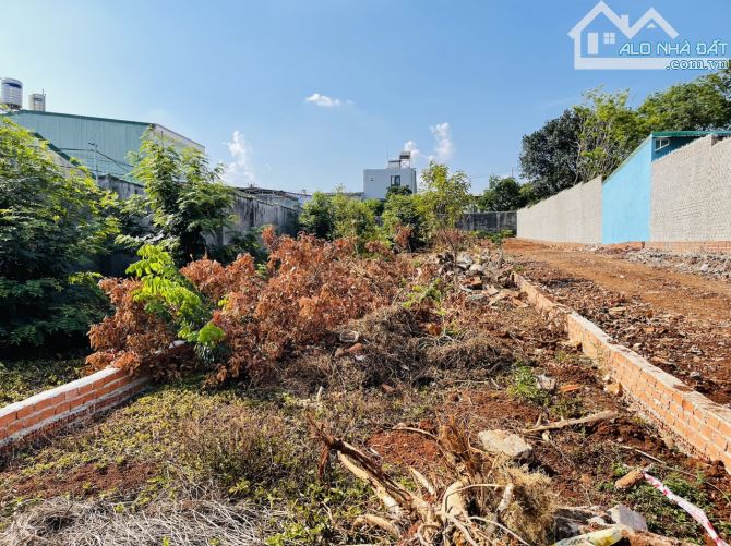 💥Đất Làm Nhà Vườn,TC 5*60m,có 10m,Đường A4,gần Đô Thị Trung Nguyên,nhiều lô khác - 3