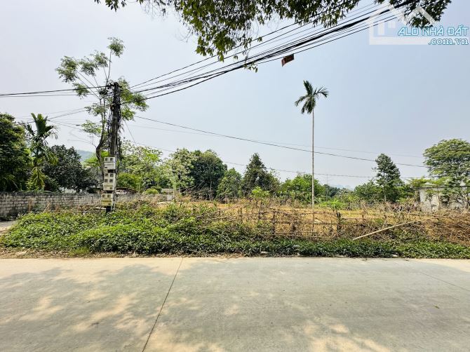 SIÊU PHẨM 2 MẶT TIỀN TRỤC CHÍNH THÔN CÓ DT 1821m2 XUNG QUANG CỰC KÌ NHIỀU KHU NGHỈ DƯỠNG - 3