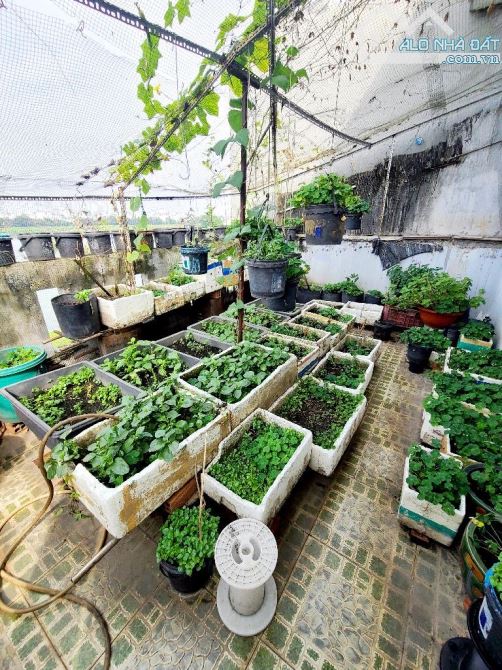 MẶT TIỀN Đ. SỐ GIAO LÊ VĂN QUỚI - BÌNH TÂN 90M2 5 TẦNG CHỈ 9.2 TỶ - 4