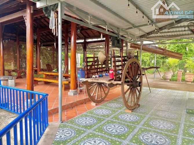 Bán đất có sẵn nhà gỗ 3PN, dt 4035m2, Trung Lập Thượng, Củ Chi, giá chỉ nhỉnh 11 tỷ - 4