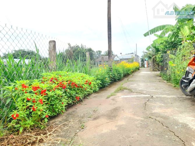 Quá Đẹp, 261m2 đất thổ 10x 26m, góc 2 mặt tiền cực đẹp, 790 tr - 4