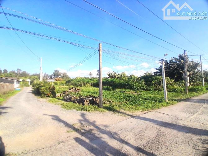 Quá ngộp, chỉ 490tr sở hữu 147.5m2 đất thổ đường ô tô - 4