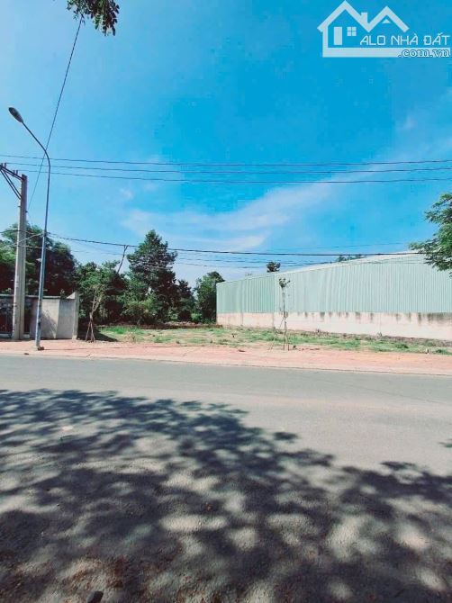 BÁN ĐẤT mt đường CÂY DẦU ĐÔI (DX 82) – P. ĐỊNH HÒA  138m² – Giá: 2 tỷ 999 triệu - 5