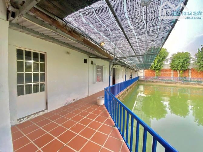 Bán đất có sẵn nhà gỗ 3PN, dt 4035m2, Trung Lập Thượng, Củ Chi, giá chỉ nhỉnh 11 tỷ - 5