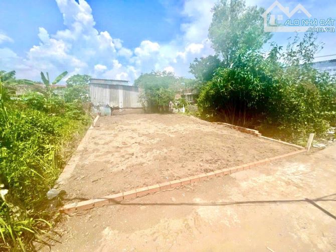Bán lô đất đường Trần Quang Quờn, Bình Khánh, Cần Giờ 1,5tỷ - 5
