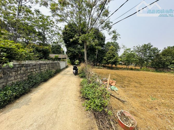 SIÊU PHẨM 2 MẶT TIỀN TRỤC CHÍNH THÔN CÓ DT 1821m2 XUNG QUANG CỰC KÌ NHIỀU KHU NGHỈ DƯỠNG - 5