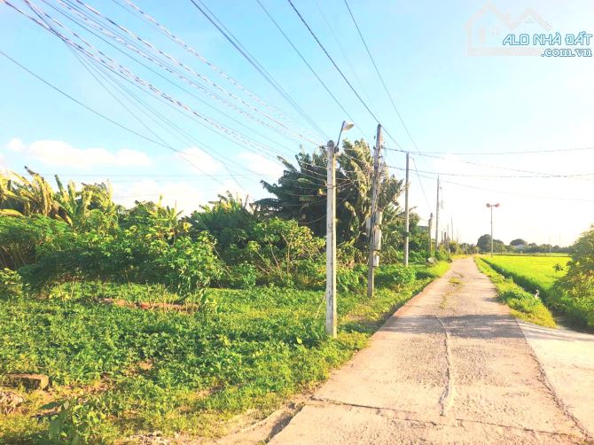 Quá ngộp, chỉ 490tr sở hữu 147.5m2 đất thổ đường ô tô - 6