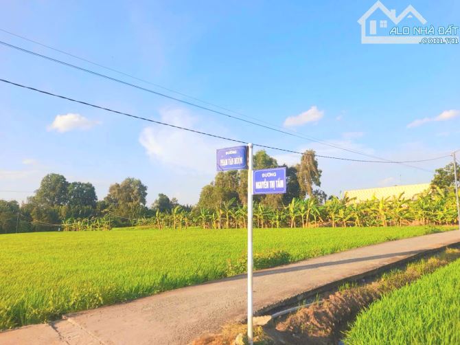 Quá ngộp, chỉ 490tr sở hữu 147.5m2 đất thổ đường ô tô - 7