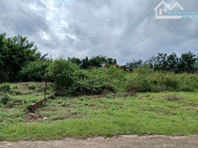 Bán đất hẻm 01 Lê Văn Hưu, P. Thống Nhất, Gia Lai - 7