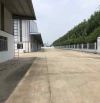 Nhà xưởng 24.000m2 trong KCN Hòa Xá Nam Định đang trống cần cho thuê , PCCC đầy đủ, sx đa