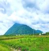 Còn duy nhất 1 lô view núi bà , Thanh Tân, TP Tây Ninh, dt 170m, giá 295 triệu, đường oto