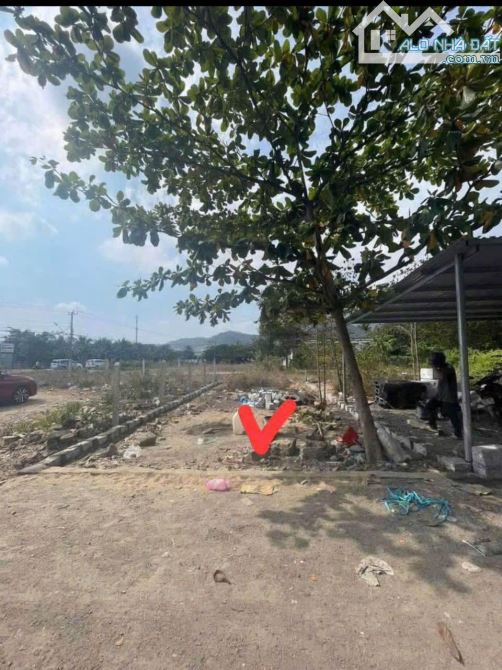 Bán đất vĩnh trung phường tây Nha Trang cách đường 23/10 chỉ 20m giá 2 tỷ 025